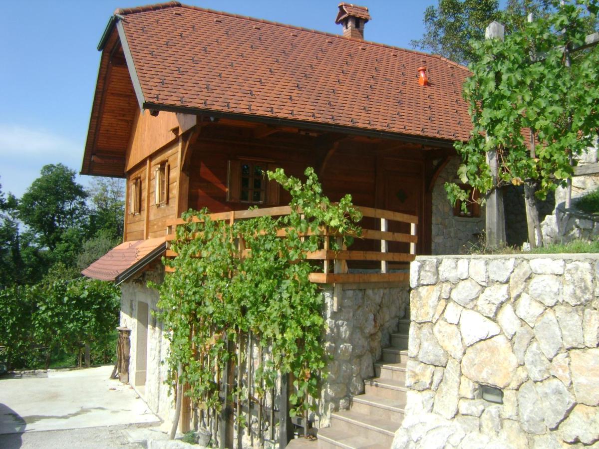 Zidanca med Vinogradi Villa Otočec Exterior foto